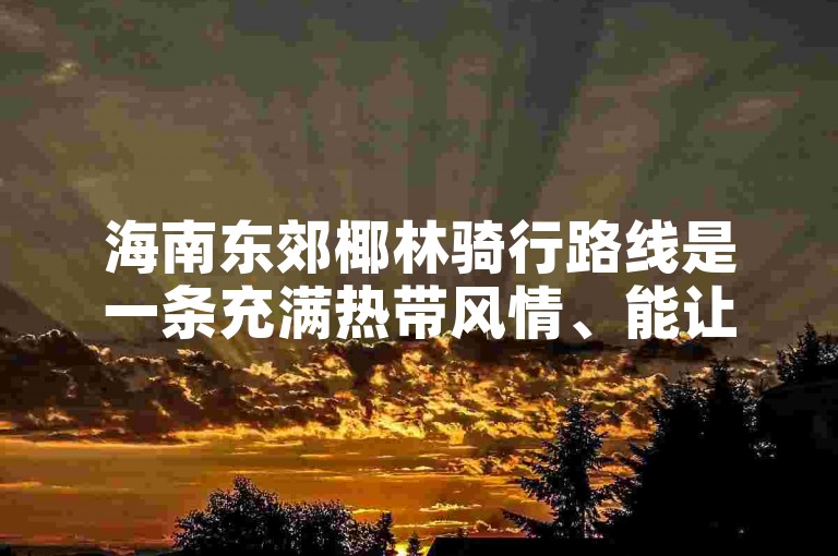 海南东郊椰林骑行路线是一条充满热带风情、能让人尽情领略椰林风光与海滨景致的绝佳骑行线路。