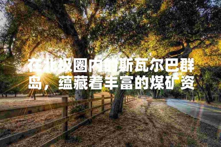 在北极圈内的斯瓦尔巴群岛，蕴藏着丰富的煤矿资源，为当地的能源供应和经济发展提供了重要支撑。