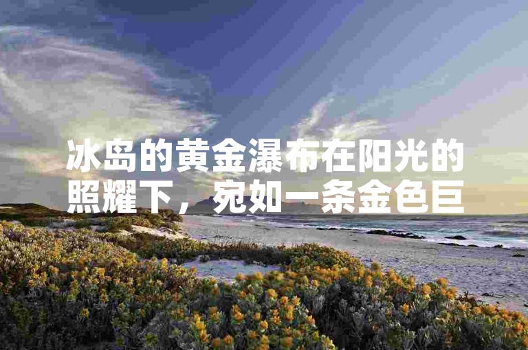 冰岛的黄金瀑布在阳光的照耀下，宛如一条金色巨龙奔腾而下。