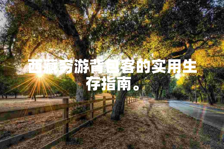西藏穷游背包客的实用生存指南。