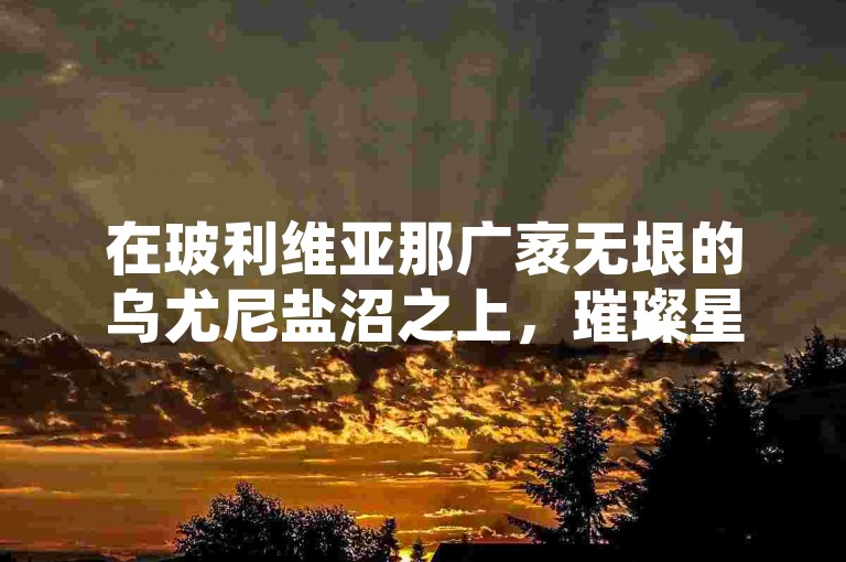 在玻利维亚那广袤无垠的乌尤尼盐沼之上，璀璨星空如梦幻画卷般铺展于天际。