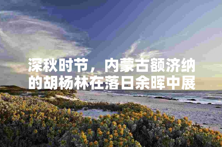 深秋时节，内蒙古额济纳的胡杨林在落日余晖中展现出一片金黄璀璨的壮丽画卷，吸引无数摄影爱好者前来捕捉这短暂而迷人的自然奇观。