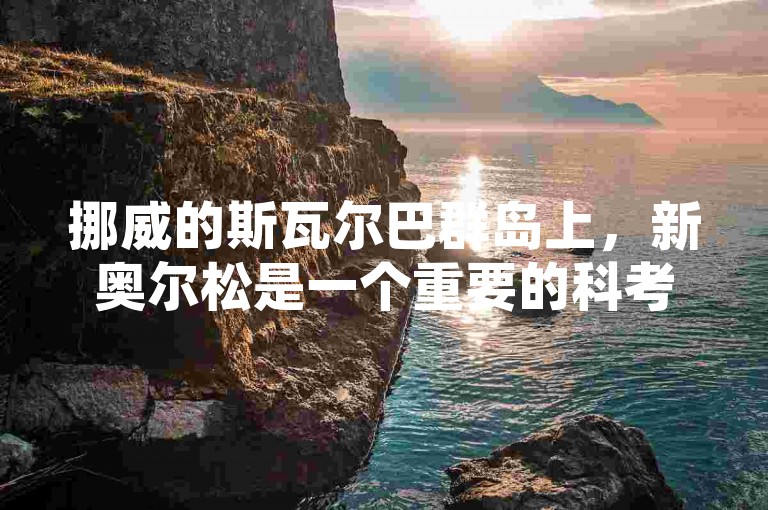 挪威的斯瓦尔巴群岛上，新奥尔松是一个重要的科考站所在地。