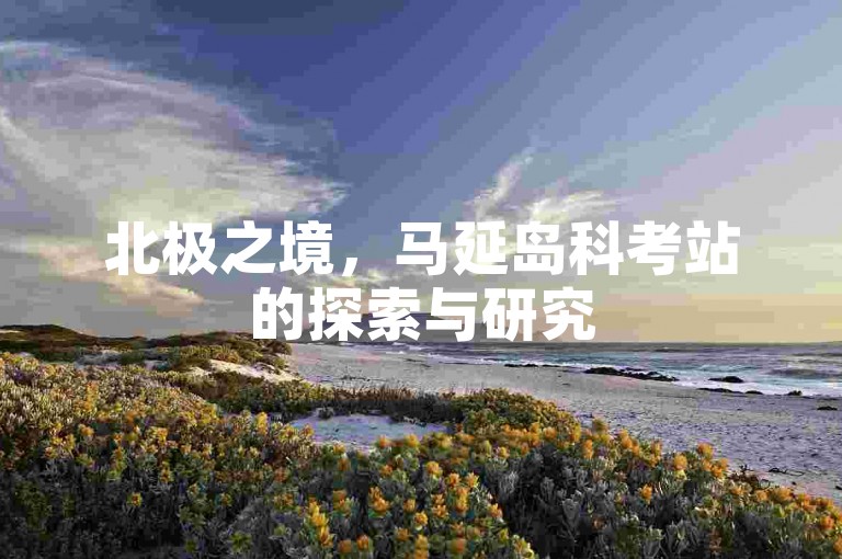 北极之境，马延岛科考站的探索与研究