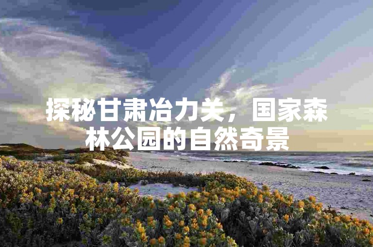 探秘甘肃冶力关，国家森林公园的自然奇景