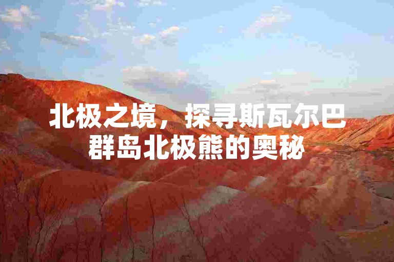 北极之境，探寻斯瓦尔巴群岛北极熊的奥秘