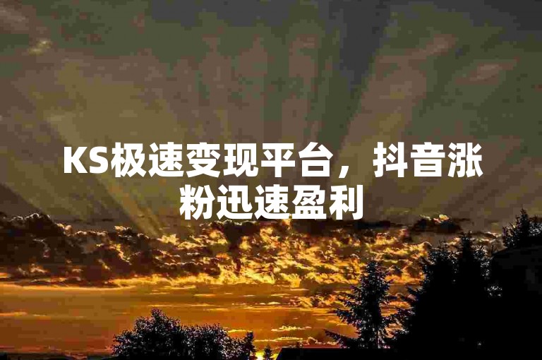 KS极速变现平台，抖音涨粉迅速盈利