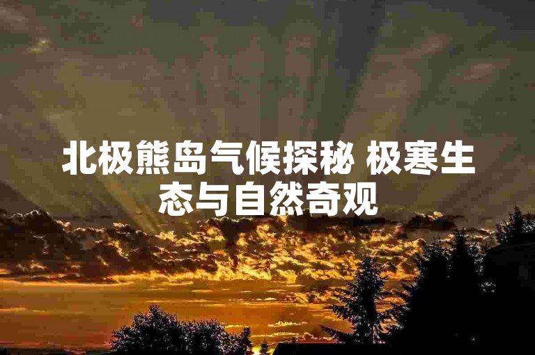 北极熊岛气候探秘 极寒生态与自然奇观