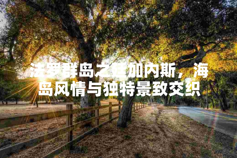 法罗群岛之廷加内斯，海岛风情与独特景致交织