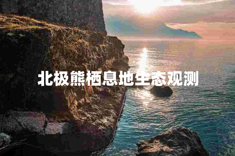 北极熊栖息地生态观测