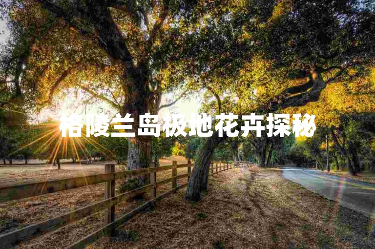 格陵兰岛极地花卉探秘