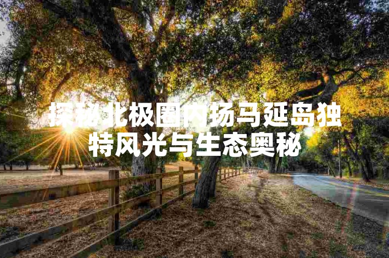 探秘北极圈内扬马延岛独特风光与生态奥秘