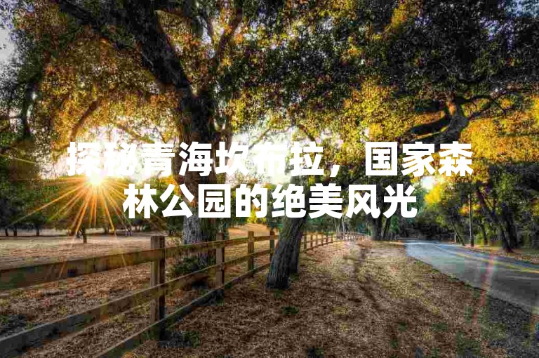 探秘青海坎布拉，国家森林公园的绝美风光