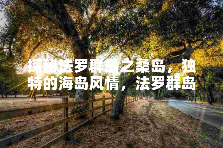 探秘法罗群岛之桑岛，独特的海岛风情，法罗群岛桑岛，领略别样海洋景致，聚焦法罗群岛桑岛，神秘的海上明珠
