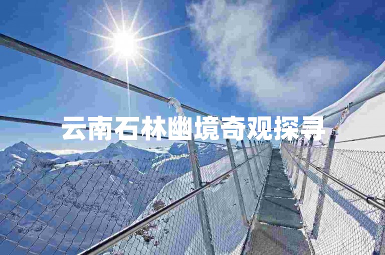 云南石林幽境奇观探寻