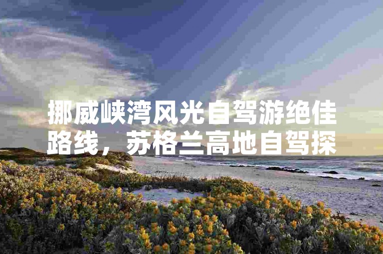 挪威峡湾风光自驾游绝佳路线，苏格兰高地自驾探秘梦幻线路，新西兰南岛自驾领略绝美风光，美国一号公路自驾浪漫之旅规划，加拿大落基山脉自驾奇幻之旅
