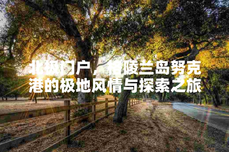 北极门户，格陵兰岛努克港的极地风情与探索之旅