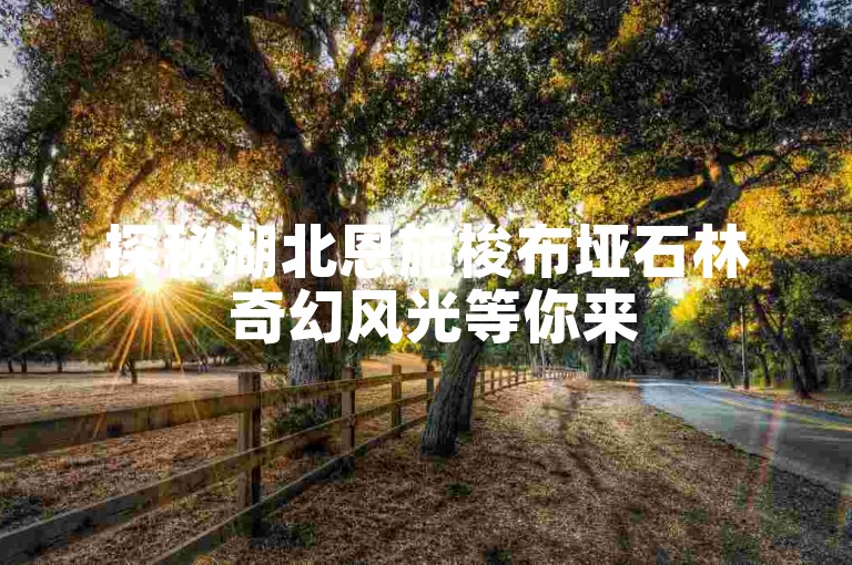 探秘湖北恩施梭布垭石林 奇幻风光等你来