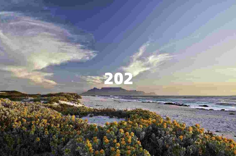 2025年最新西安兵马俑旅游攻略详细路线