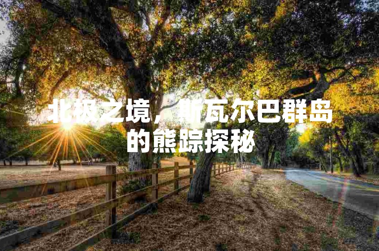 北极之境，斯瓦尔巴群岛的熊踪探秘