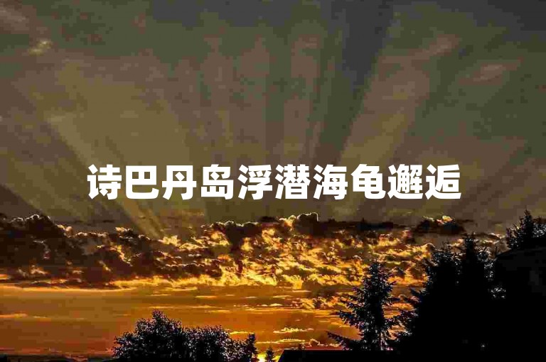 诗巴丹岛浮潜海龟邂逅