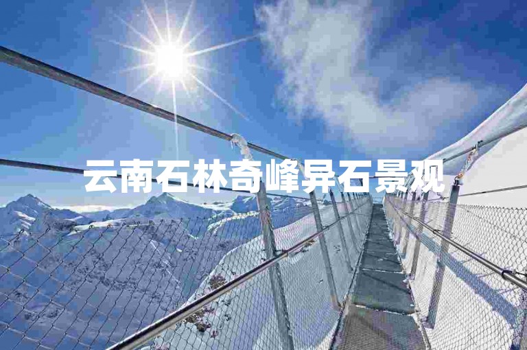 云南石林奇峰异石景观