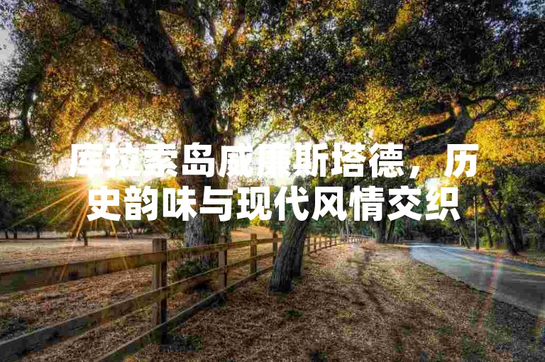 库拉索岛威廉斯塔德，历史韵味与现代风情交织