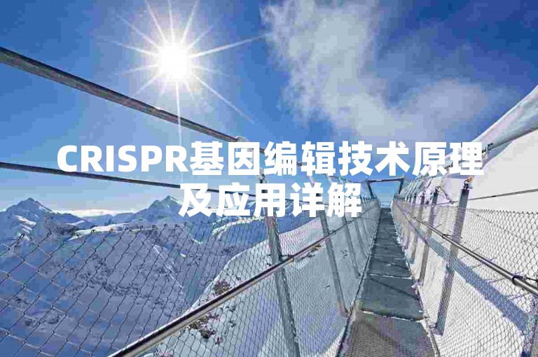 CRISPR基因编辑技术原理及应用详解