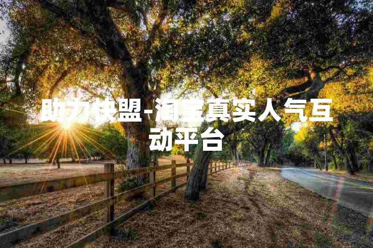 助力快盟-淘宝真实人气互动平台