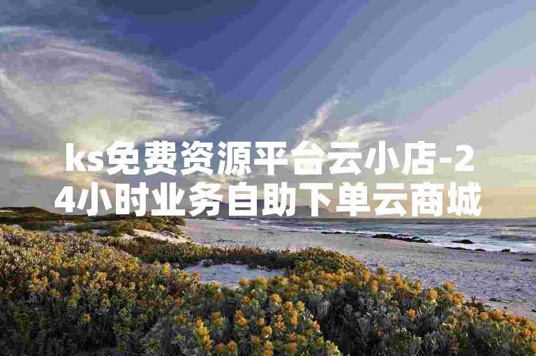 ks免费资源平台云小店-24小时业务自助下单云商城