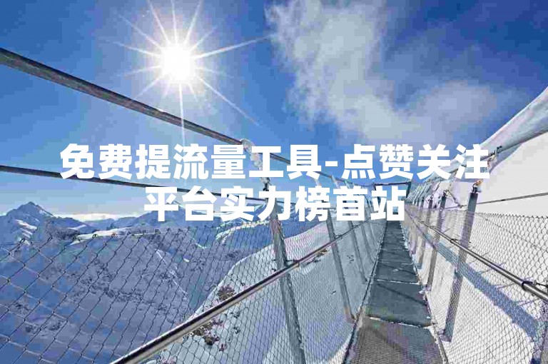 免费提流量工具-点赞关注平台实力榜首站