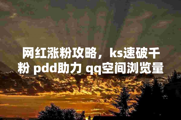 网红涨粉攻略，ks速破千粉 pdd助力 qq空间浏览量免费提升