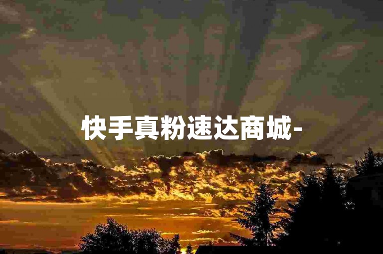 快手真粉速达商城-