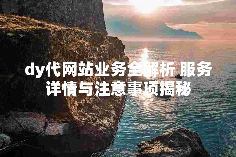 dy代网站业务全解析 服务详情与注意事项揭秘