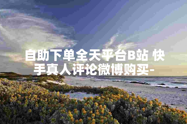 自助下单全天平台B站 快手真人评论微博购买-