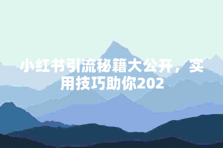 小红书引流秘籍大公开，实用技巧助你2025轻松涨粉！