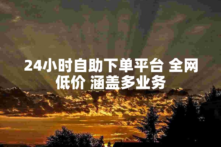 24小时自助下单平台 全网低价 涵盖多业务