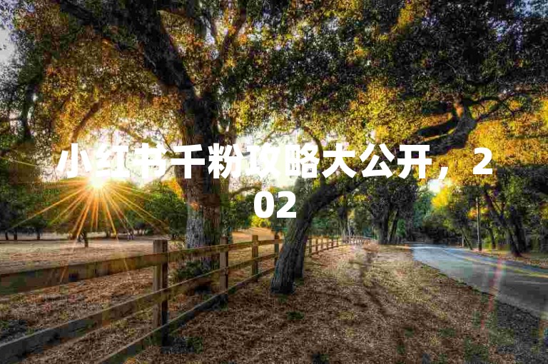 小红书千粉攻略大公开，2025教你快速涨至1000真实活跃粉丝技巧！