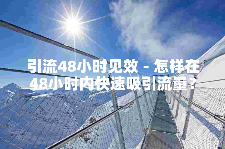 引流48小时见效 - 怎样在48小时内快速吸引流量？