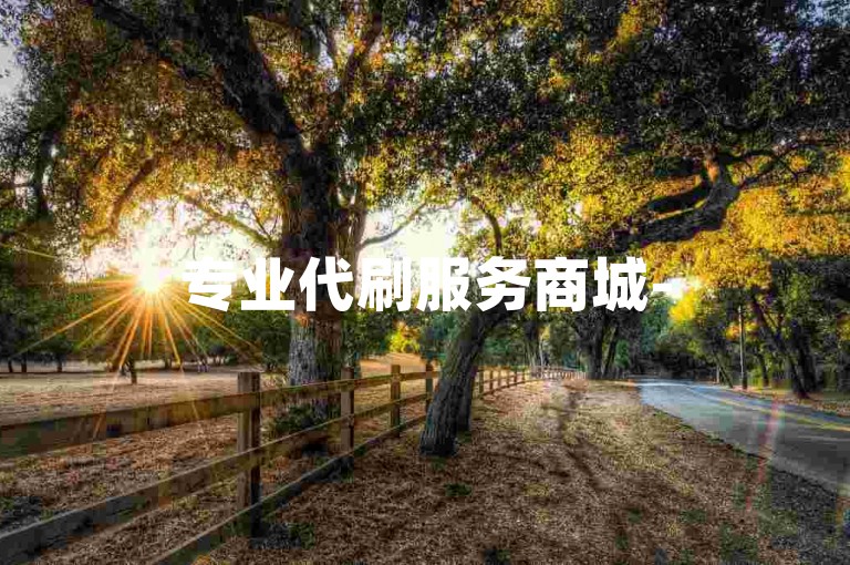 专业代刷服务商城-