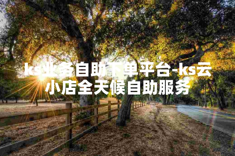 ks业务自助下单平台-ks云小店全天候自助服务