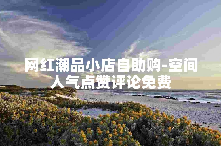 网红潮品小店自助购-空间人气点赞评论免费