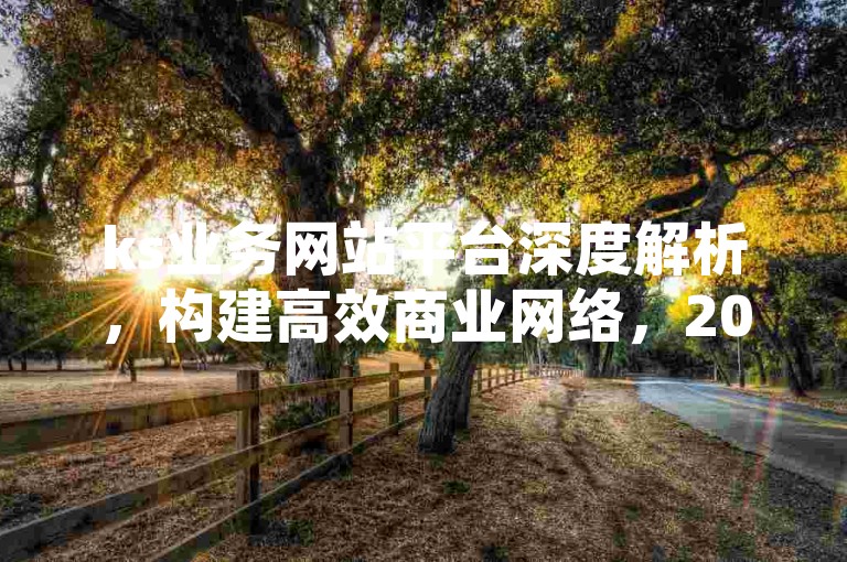 ks业务网站平台深度解析，构建高效商业网络，2024必备技巧！