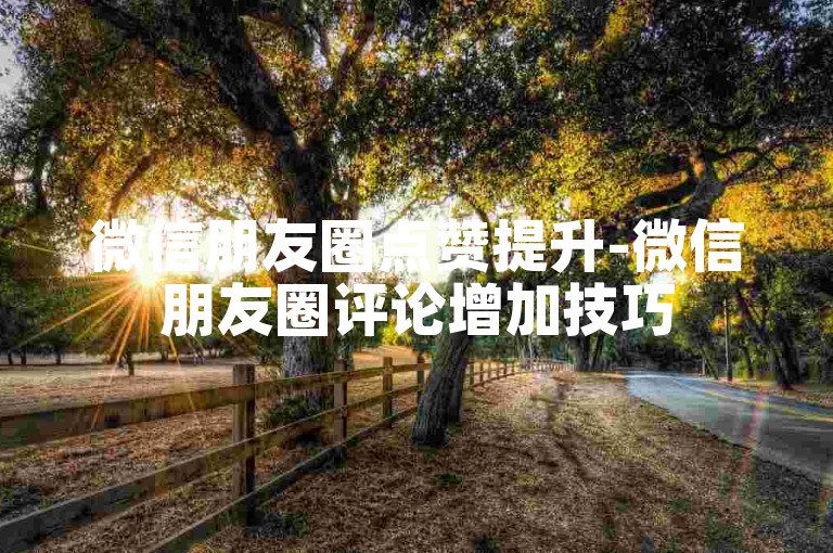 微信朋友圈点赞提升-微信朋友圈评论增加技巧