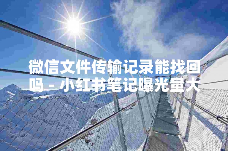 微信文件传输记录能找回吗 - 小红书笔记曝光量大幅增长