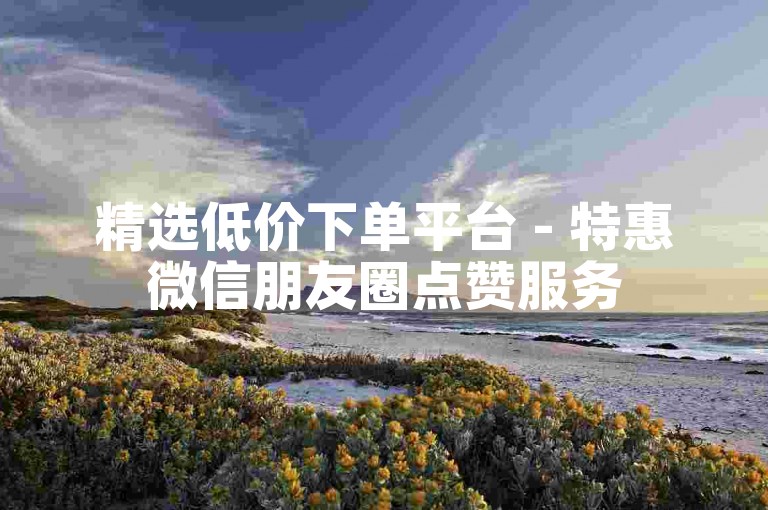 精选低价下单平台 - 特惠微信朋友圈点赞服务