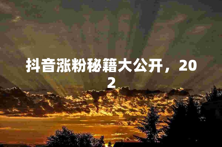抖音涨粉秘籍大公开，2025抖音快速吸睛获赞法，快手运营技巧同步揭秘！