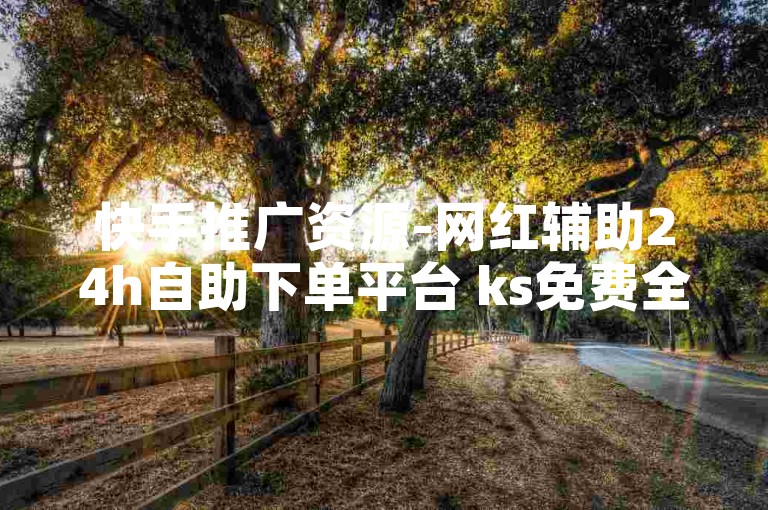 快手推广资源-网红辅助24h自助下单平台 ks免费全天接单站点全新版 快手涨粉互动工具