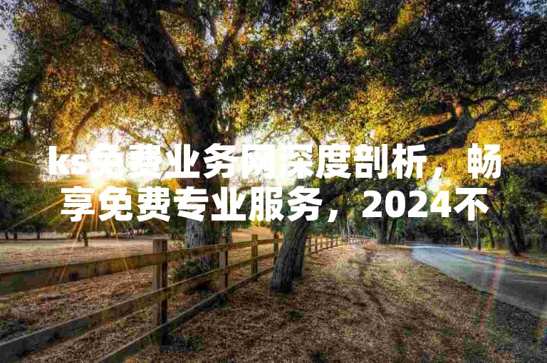 ks免费业务网深度剖析，畅享免费专业服务，2024不容错过！