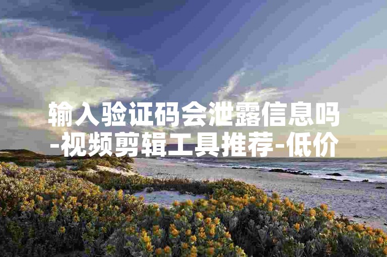 输入验证码会泄露信息吗-视频剪辑工具推荐-低价自助下单平台-网红与榜一趣事